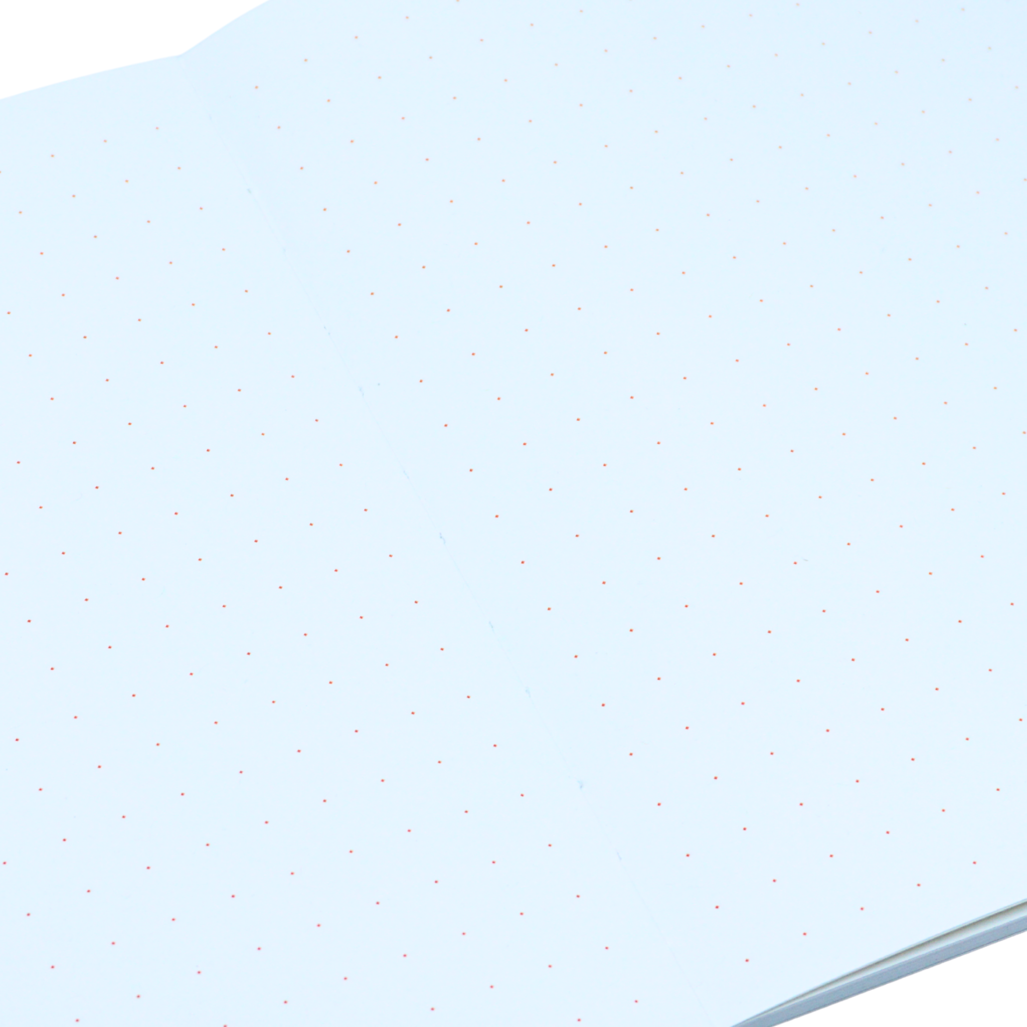 WildThoughts Dual Graphic Notebook - L
